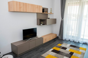 Living Modern Mirror