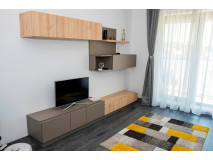 Living Modern Mirror