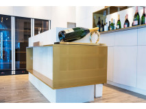 Showroom Proiect Comercial Moet